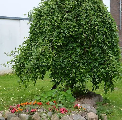 & Ferienunterkuenfte Hus Seeblick *